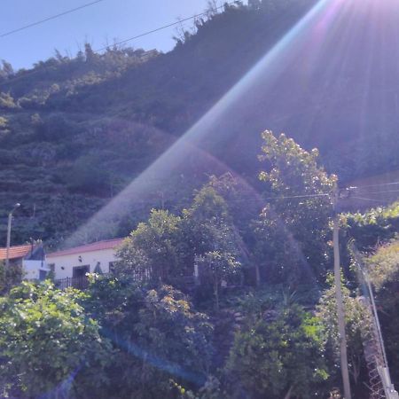 Casa Da Faja Lägenhet Funchal  Exteriör bild