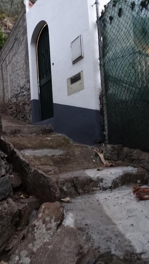 Casa Da Faja Lägenhet Funchal  Exteriör bild